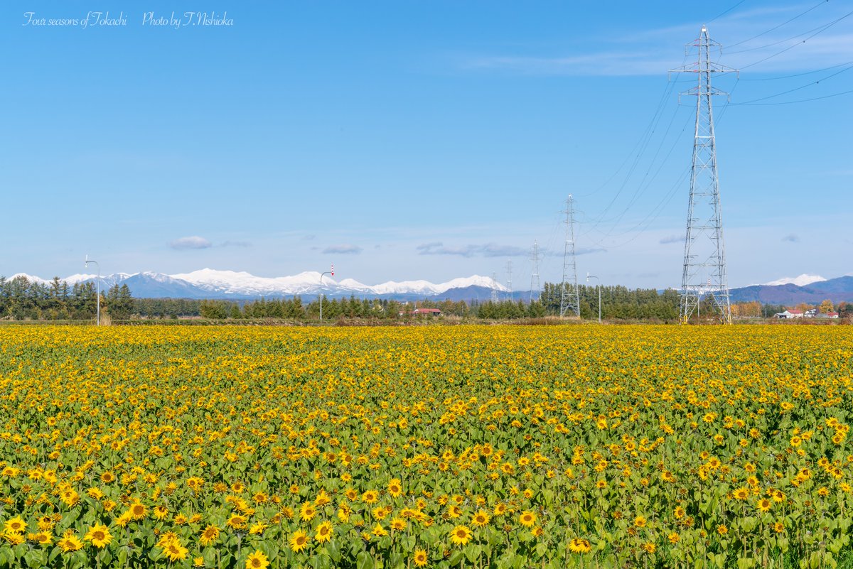 【オーダー用】北海道の風景写真 81,300点を超える北海道 風景のストックフォト、写真、そして