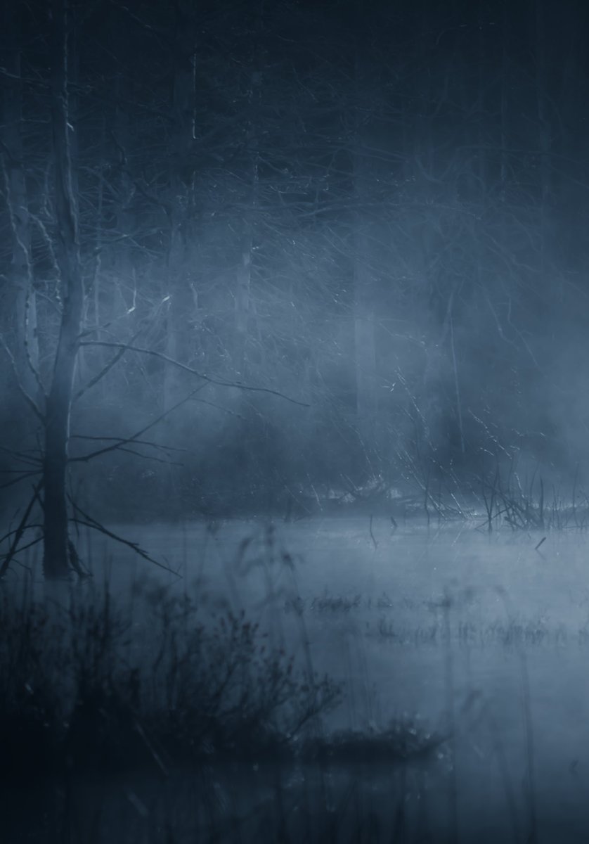 Loki Highlock (@lokihighlock) on Twitter photo 