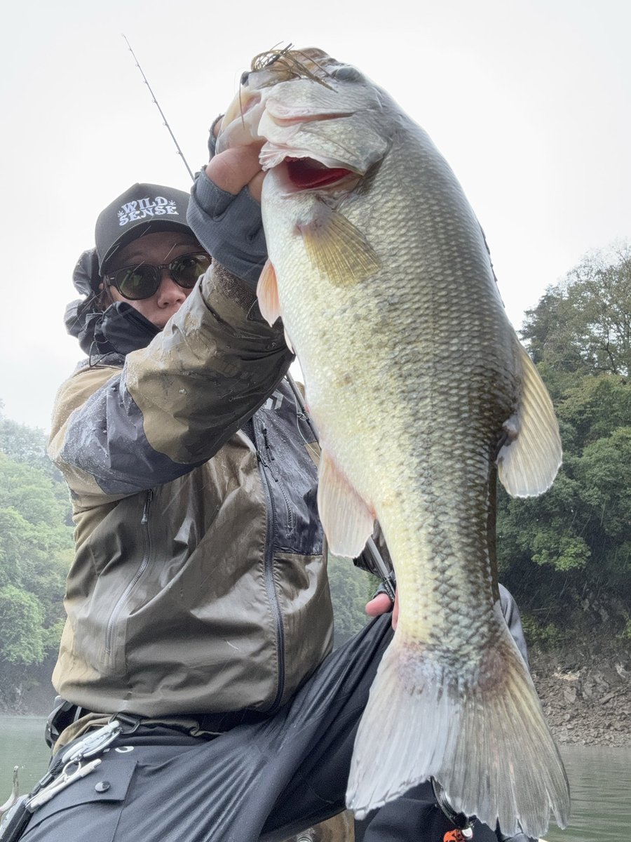 岡本 幸市 tweet media