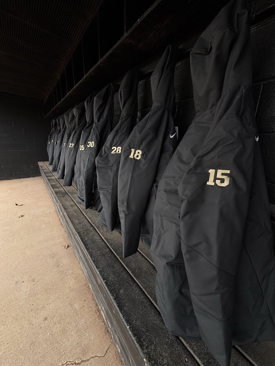 Defiance College Softball tweet media