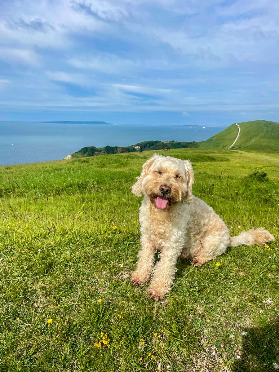 🚶🏻♂️➡️ tweet media