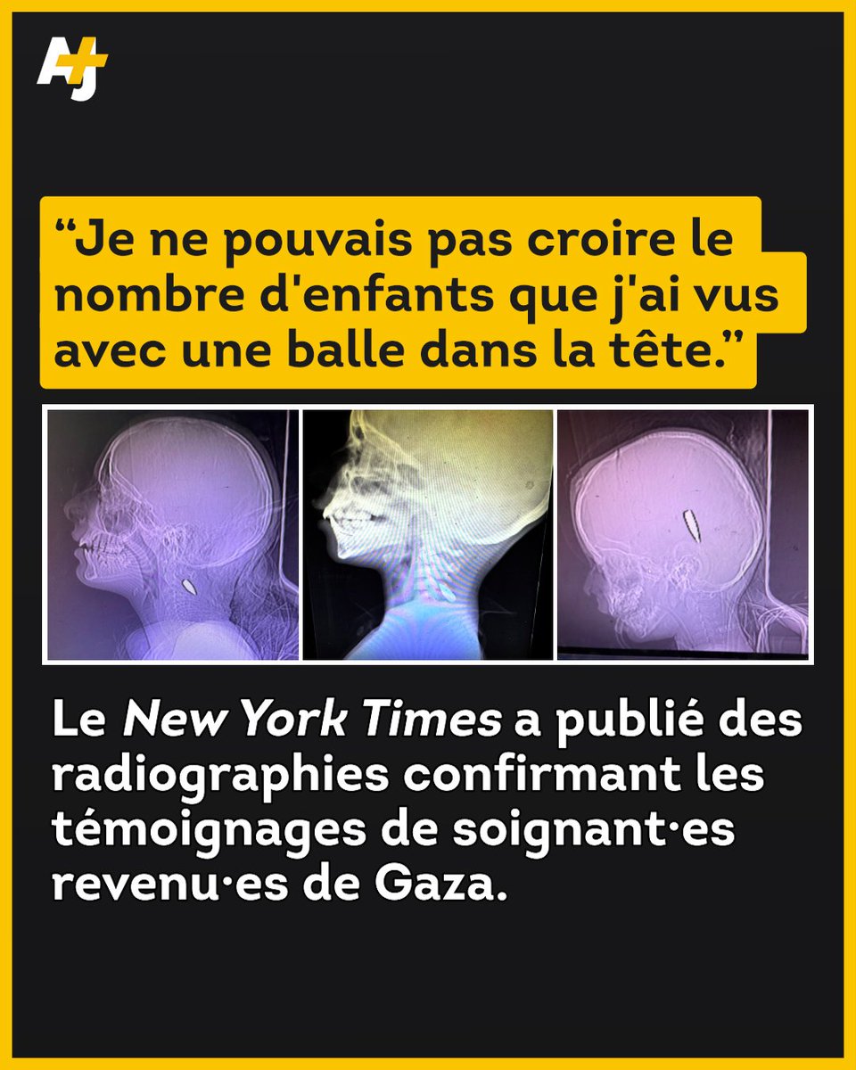 MANOUCHKYA's tweet image. « Si vous êtes en guerre contre le Hamas, pourquoi tirez-vous sur des enfants dans le crâne et la poitrine ? »
Norman Finkelstein