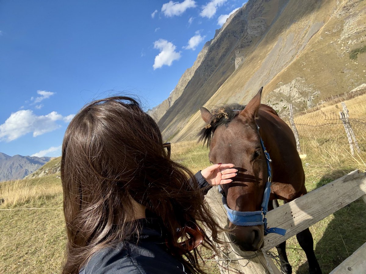 rainmaker tweet media