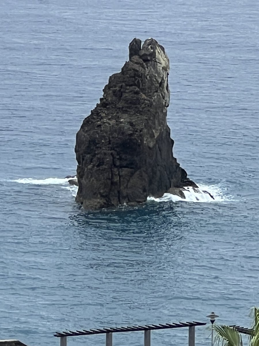 Prof Satya Sarker (Phytochemist & Writer) 🇬🇧 tweet media