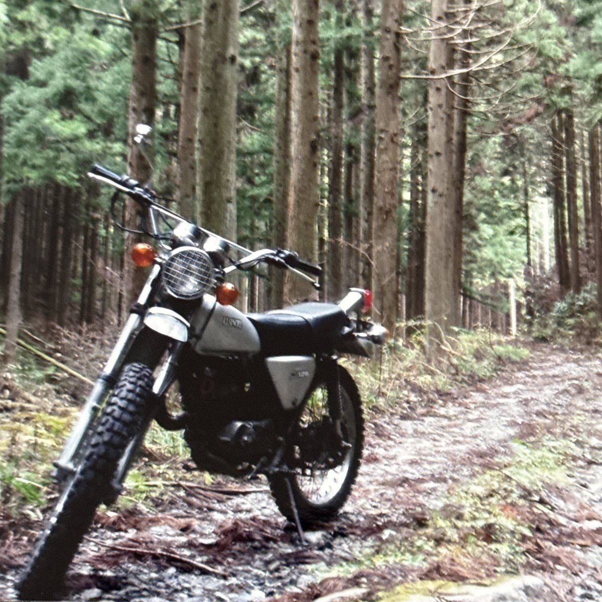 タッシー (@taccie) / Posts / X