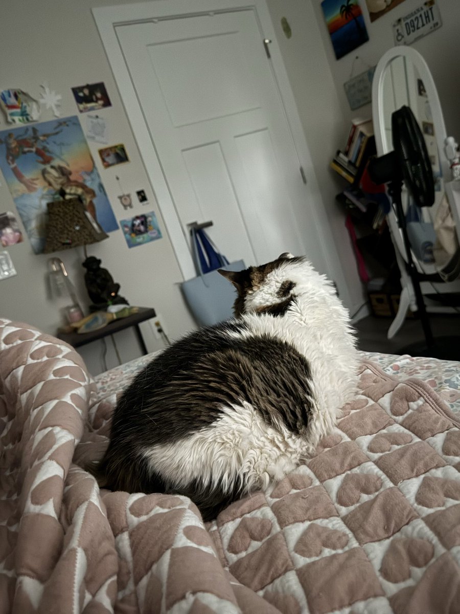 chewberts's tweet image. some of yall thought that post a few days ago meant chewy was dead. not dead i just love her so much. here she is