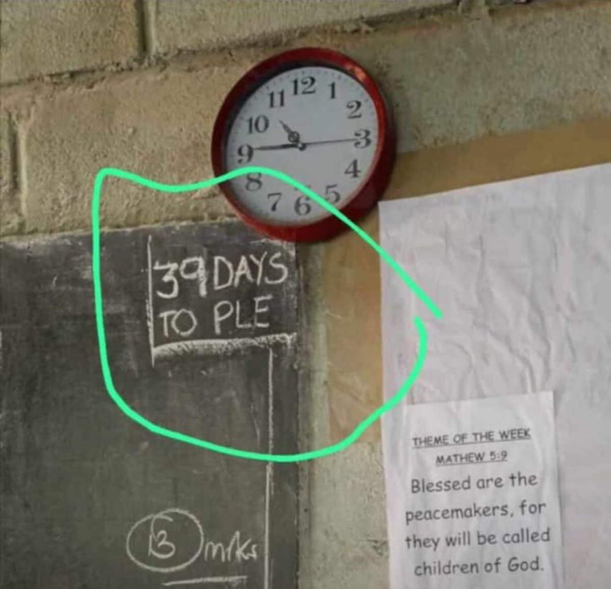 This is the time you think you are about to make it in life 🧬