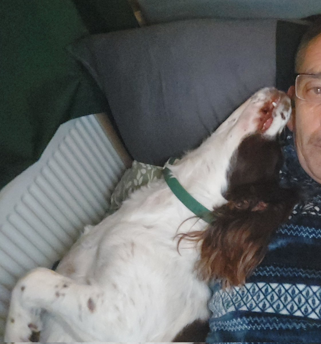 richthejoiner's tweet image. Spaniels and personal space don't mix😊 she's such a loving pooch