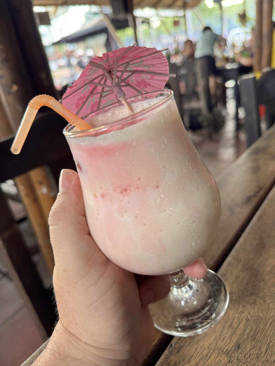 freddyleal123's tweet image. 🍍🍹