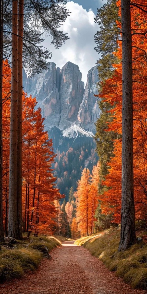 Nature Explorer (@natureexpl96980) on Twitter photo 