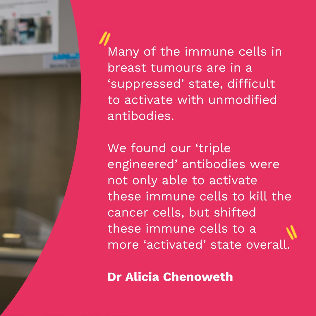 BreastCancerNow's tweet image. Scientists at our research unit @KingsCollegeLon have developed first-of-their-kind ‘triple engineered’ antibodies that can restrict the growth of aggressive and treatment-resistant breast cancers.

Thanks to funding support from @asda.
breastcancernow.org/about-us/resea…