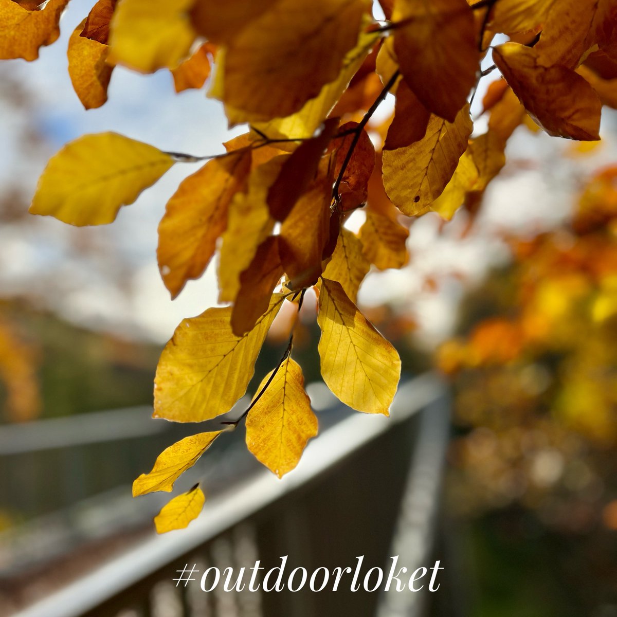 chytraktim's tweet image. Ta trasa je fakt skvělá…🙂

#trailrunning #beh #karlovarskykraj