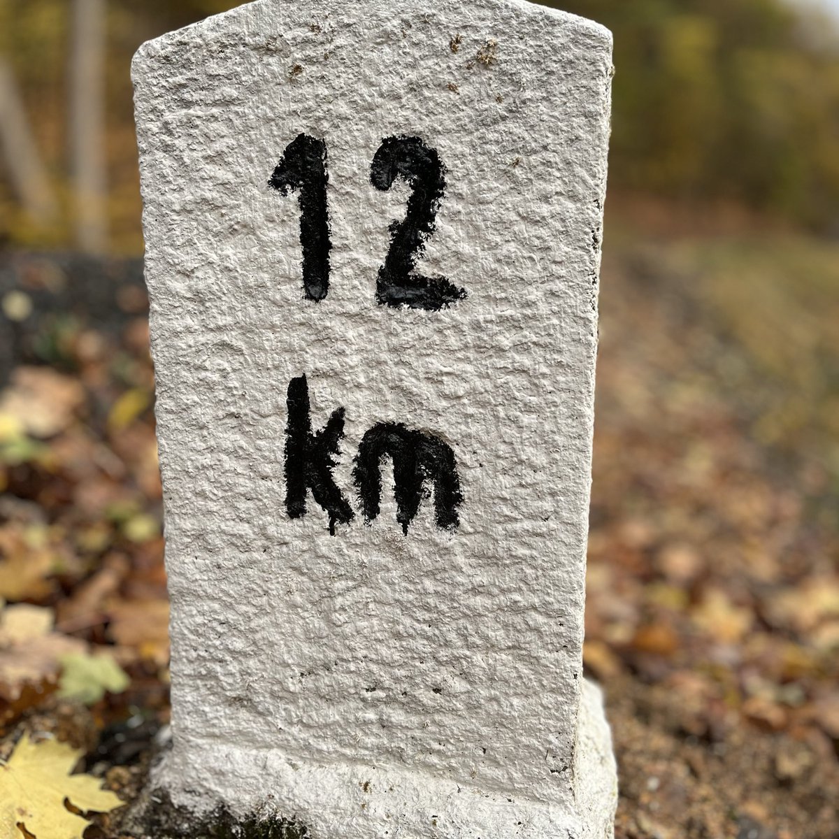 chytraktim's tweet image. Ta trasa je fakt skvělá…🙂

#trailrunning #beh #karlovarskykraj