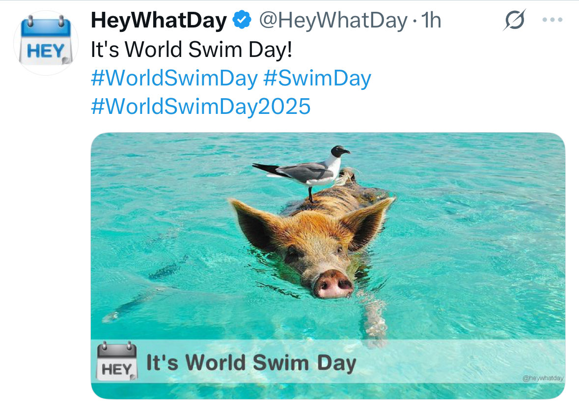jchrisb123's tweet image. Today is world swim day.  I got my swim in today.