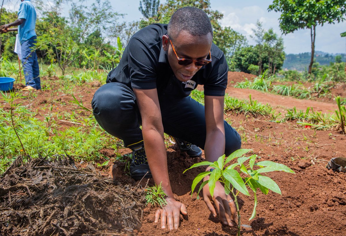 In Kagarama, Kamonyi District, we joined students and community members along with the team from <a href="/ISAROEconext/">ISARO Econext</a> to plant 1,000 avocado trees, as part of Rwanda's 2025-2026 tree planting season with the goal to mobilize residents to plant millions of trees and restore ecosystems