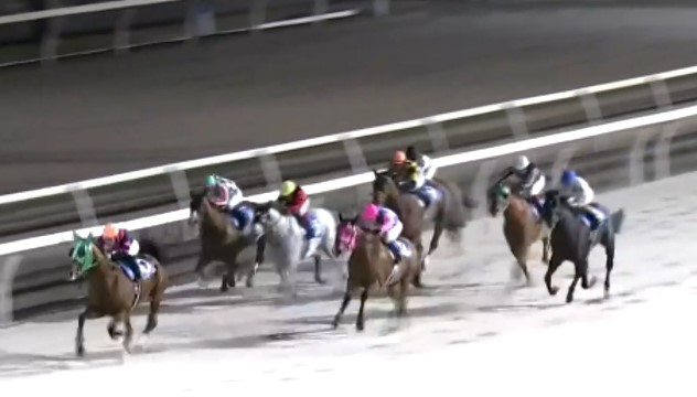 10月23日、当社育成馬ペプチドシュチク(牡4、門別・川島雅人厩舎、沼川瀧子様所有)が、門別10R、グランシャリオドリーム７６（3歳以上Ａ４－２～Ｂ２クラス、ダート1200m）で、2連勝を飾りました！

沼川様、川島雅人厩舎の皆様、優勝おめでとうございました！
kimurabokujo.com/%e6%9c%a8%e6%9…