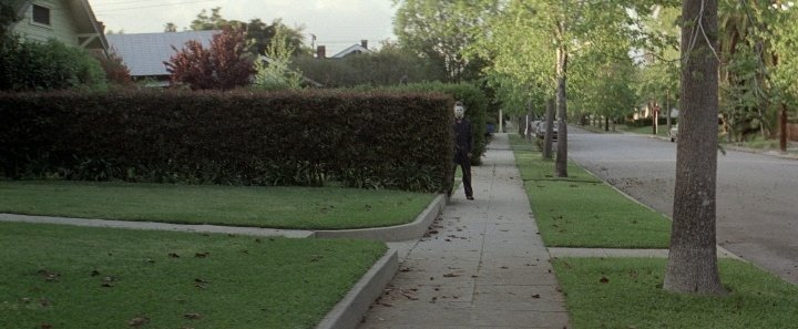 cinephilia. tweet media