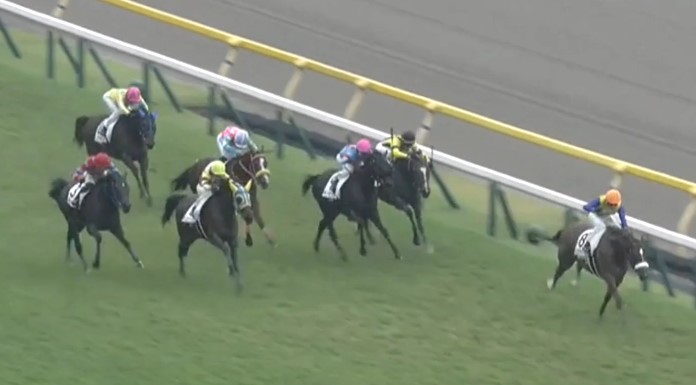 10月25日、当社生産＆育成馬ヒズマスターピース(牝2、美浦・国枝栄厩舎、木村牧場所有)が、東京2R、2歳未勝利戦（芝1600m）で、勝ち上がりました！

国枝厩舎の皆様、優勝おめでとうございました！
kimurabokujo.com/%e6%9c%a8%e6%9…