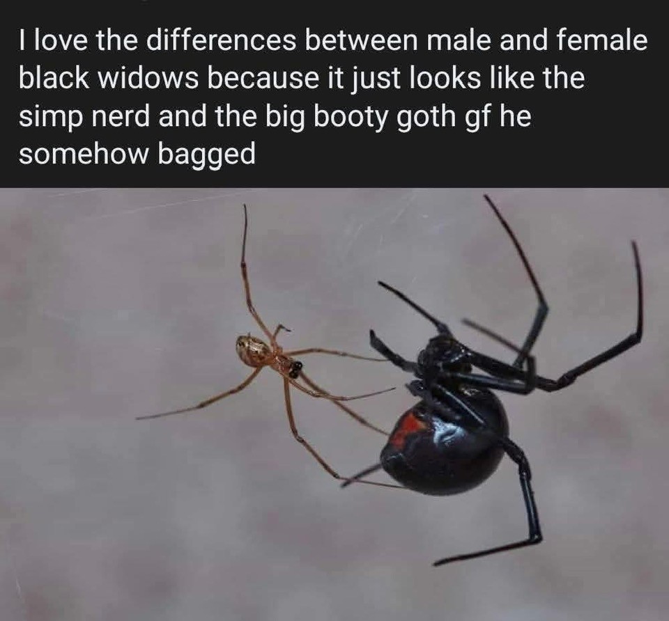 Dave (@thedaveofficial) on Twitter photo 