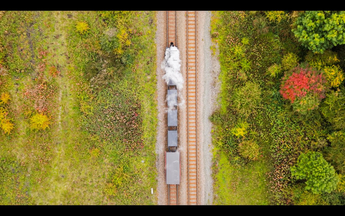 Kirk Watson tweet media