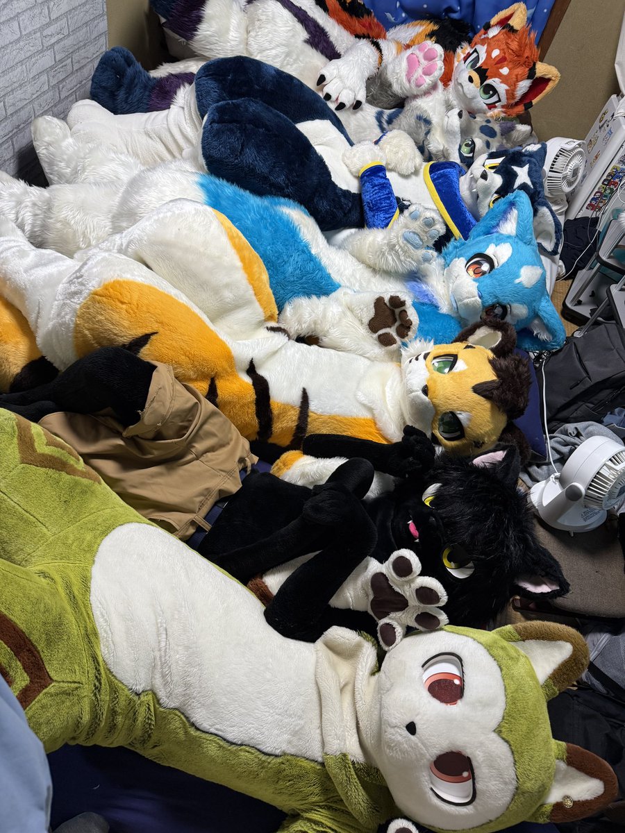 黒瑠-ｸﾛﾙ- (@cloru1231) / Posts / X