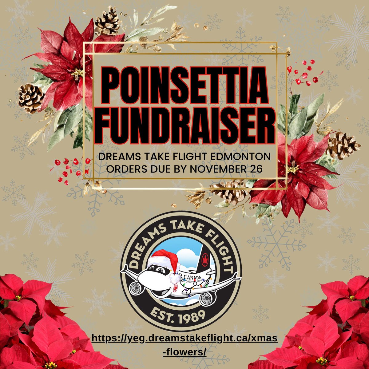 Dreams_YEG's tweet photo. Our Holiday Fundraisers are now OPEN!
This year we are offering Poinsettia's for $30 
Orders Due: Nov 26th at 6 pm
Payment: E-Transfer (See website for email &amp; password)
Available for Pick Up: December 4th
Link: https://t.co/ABozZXTmUi
#YEG #DreamsTakeFlightYEG #ChildrensCharity https://t.co/vLnE4LRMue