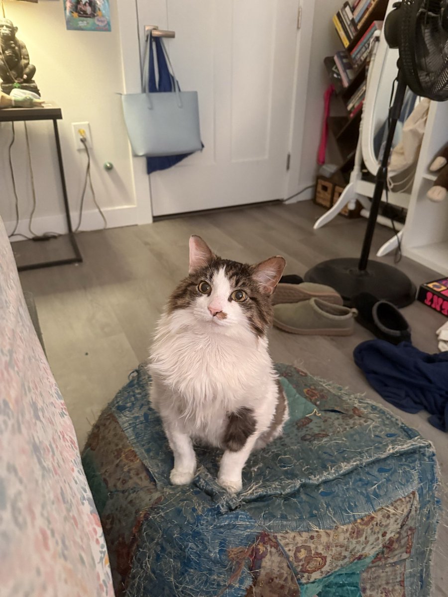chewberts's tweet image. chewy serving face earlier