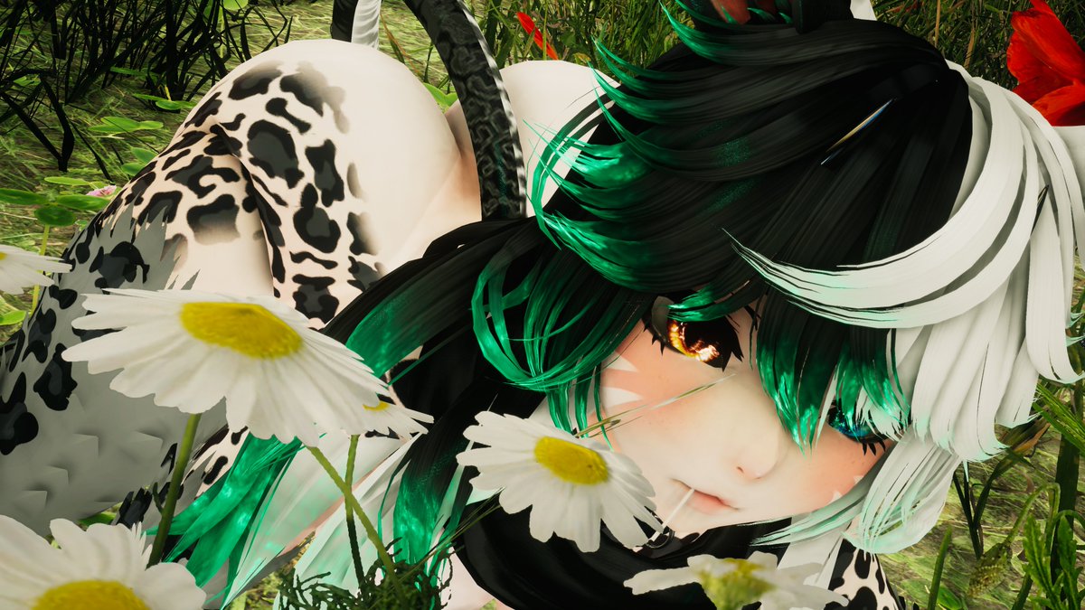 Bodaways tweet media