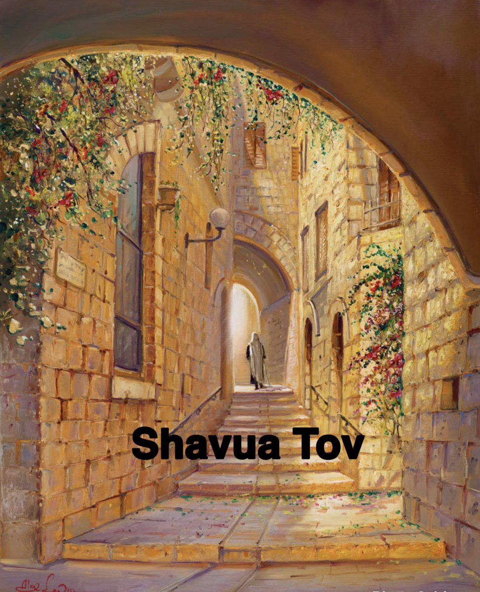 Shavua Tov everyone, have a truly beautiful and amazing week ahead, may it be one filled with joy and happiness, may we see the remaining hostages brought home to their love ones 🙏🙏🙏