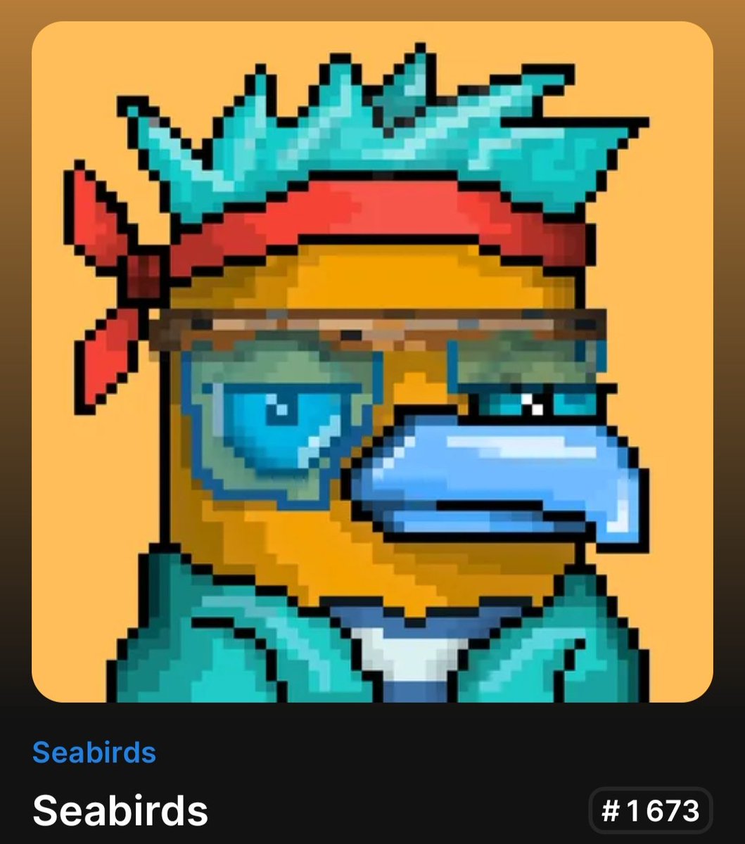Elect4cle2's tweet photo. @seabirdweb3 Lets go ! Love that bird https://t.co/2KzT9FZ1qj