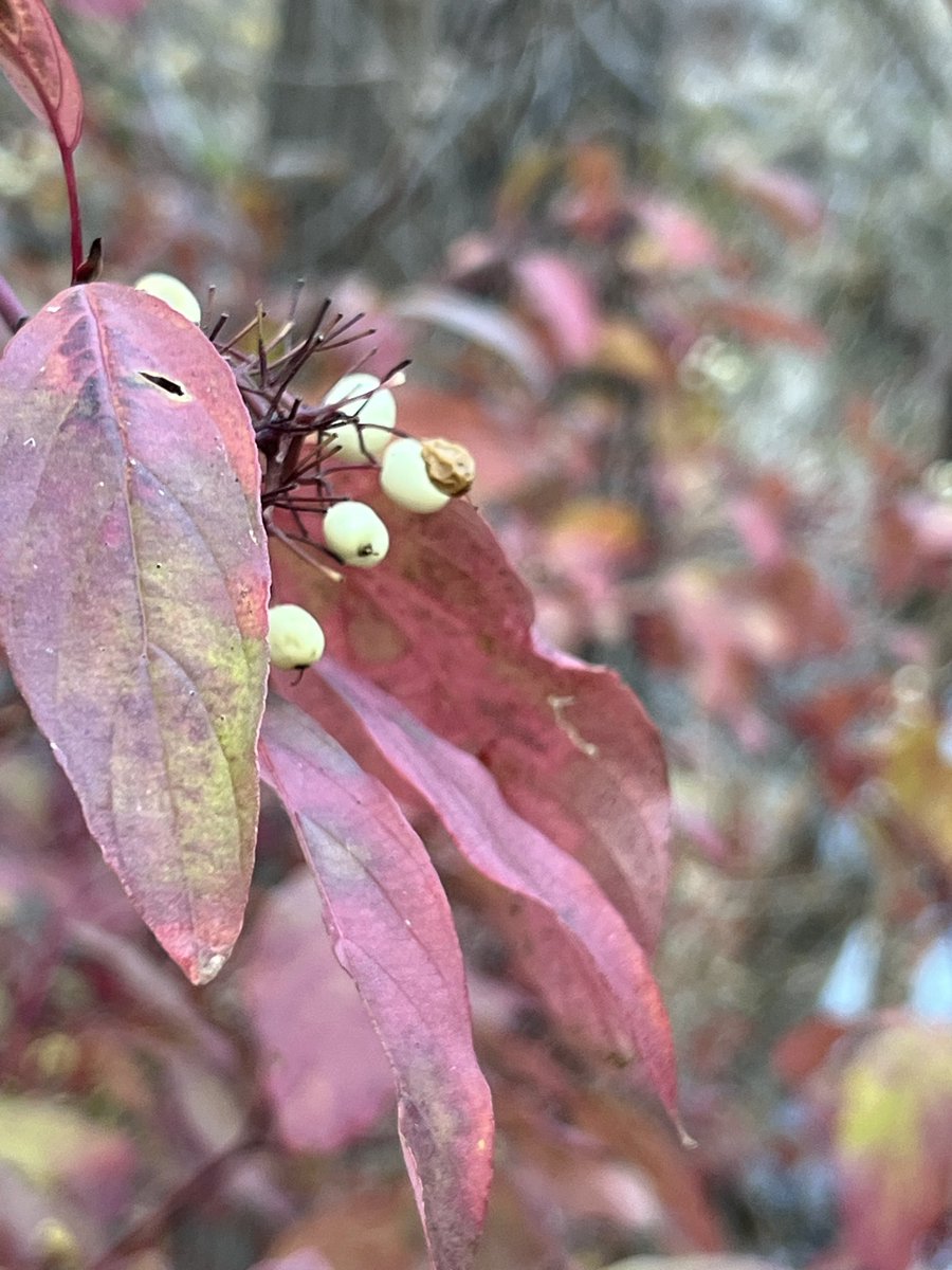 BethDuncan, M.Ed tweet media