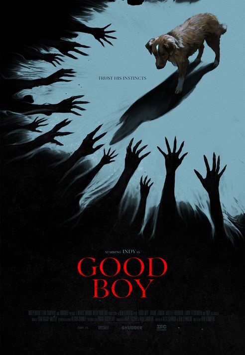 Watched #goodboy last night. Good few jump scares &amp; i was Tense as fuck watching it as the story unfolded. Indy the dog stole the show. Highly recommend watching it. A 10/10 from me