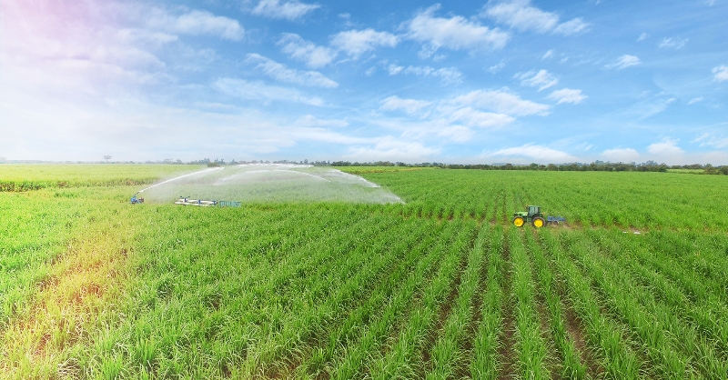 RevistaSemana's tweet photo. Con innovación, bioenergía y desarrollo social, Incauca redefine el papel del sector agroindustrial y su aporte a la sostenibilidad nacional.
#ConElApoyo de @Incauca