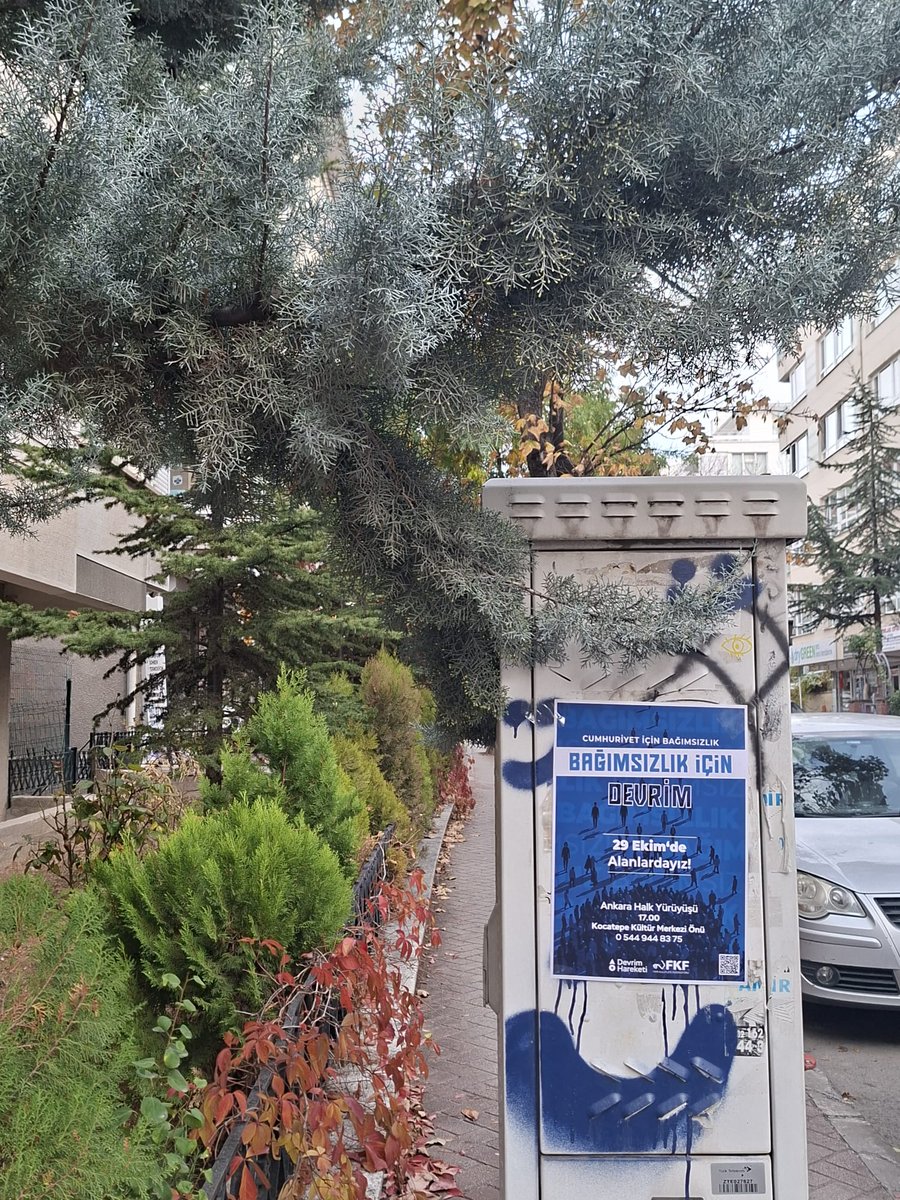 DHAyranci's tweet image. 29 Ekim&apos;de Alanlardayız!

29 Ekim yürüyüşü için bugün Güvenlik Caddesi&apos;nde afiş ve bildiri çalışması yaptık. Herkesi 29 Ekim Ankara Halk Yürüyüşü&apos;ne bekliyoruz.

📢 Ankara Halk Yürüyüşü 

🗓 29 Ekim Çarşamba

📍Kocatepe Kültür Merkezi Önü

⏰️ 17.00