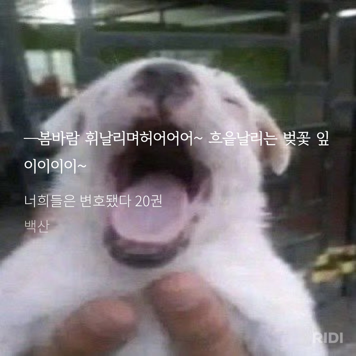 견민재 샤워음방 개웃긴데 차주한 나중에 이것도 그리워하면서 식음전폐하는거 다시생각해도웃픔 ㅅㅂㅜㅜ