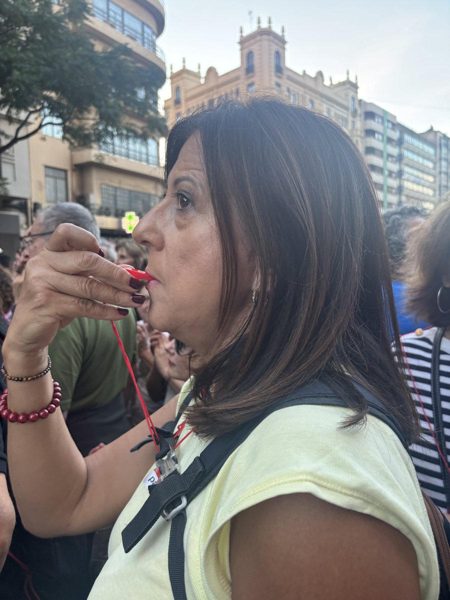 Hui, a la manifestació, CCOO estem al costat de les víctimes i de la societat valenciana. Exigim veritat, justícia i responsabilitats. La mala gestió de Mazón en la DANA no s'oblida.
#MazónDimissió