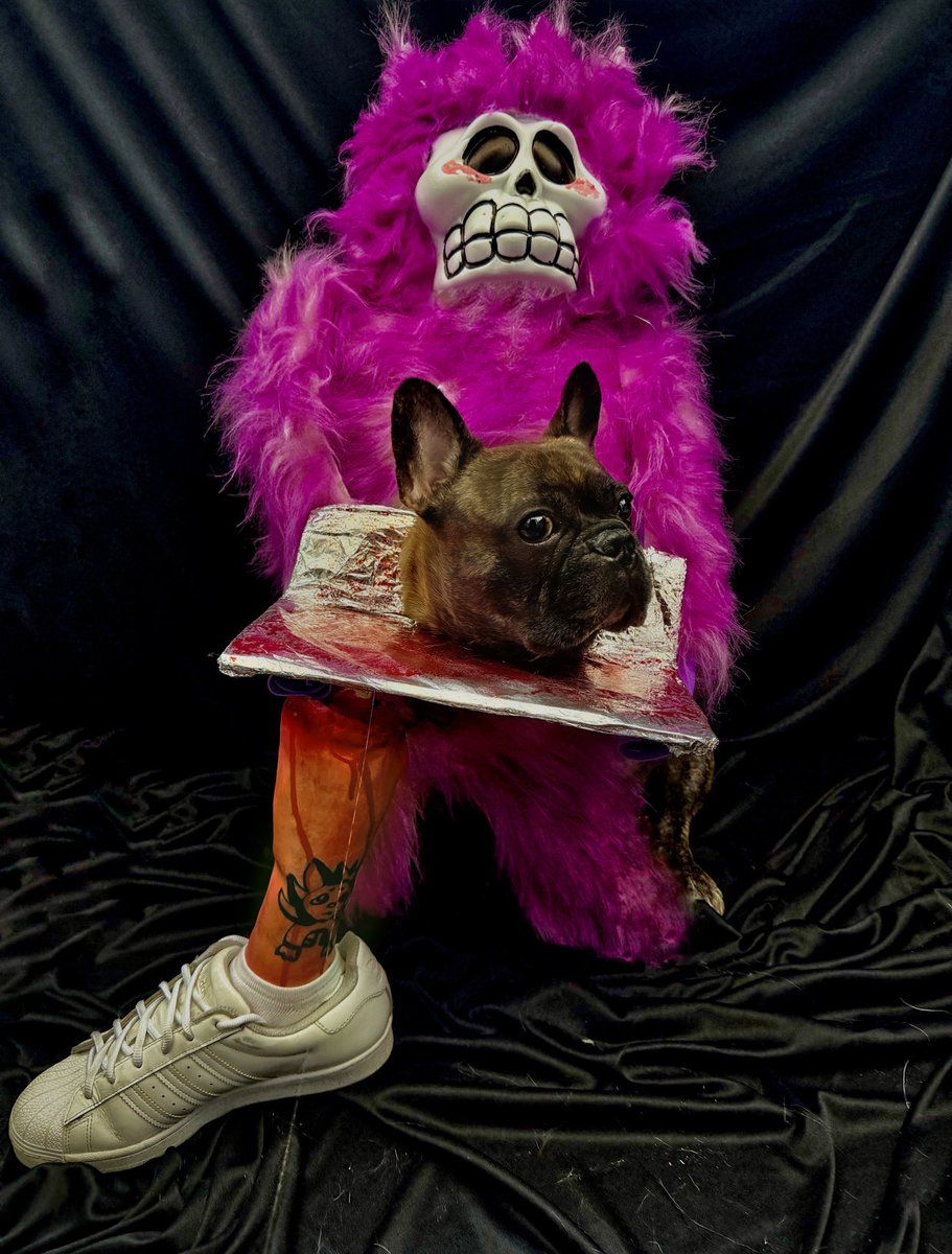 Tonight’s menu is ready.

<a href="/chog_xyz/">Chog (mainnet arc)</a> zombie will be serving Bruce’s head as the main course… and Benga ankle as the appetizer. 💀🍽️

Happy #CHOGOWEEN <a href="/ChogNFT/">Chog</a>