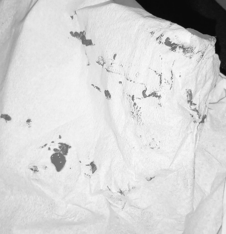 ⱽ🌊 Marina tweet media