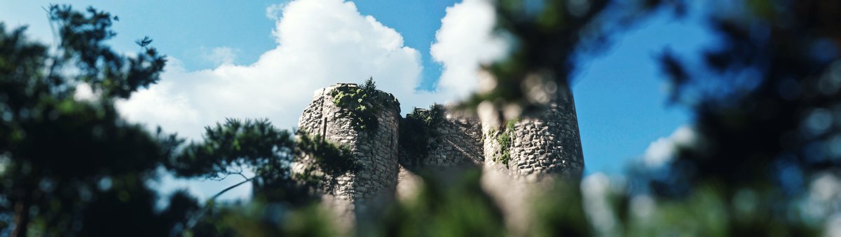 A Plague Tale : Requiem

#APlagueTaleRequiem #ThePhotoMode #VirtualPhotography #VPWorld #VPHiddenGems #VPGAMERS #VPRetweet