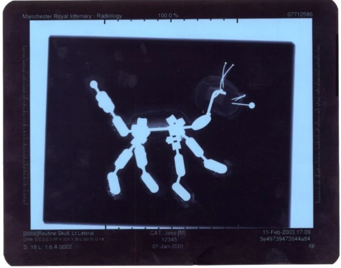 <a href="/SnoopertBeagle/">🦴 Snoopert (Commissions open!)</a> Fun fact when they needed to make a new Jess puppet for the 2000s revival, they didn’t have the heart to pull the old puppet apart to see how he was made, so they took him to a hospital and had him x-rayed.