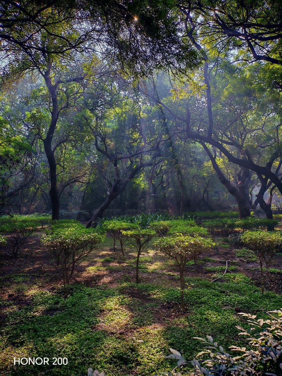 ClasslessCULE's tweet image. #Earthshot