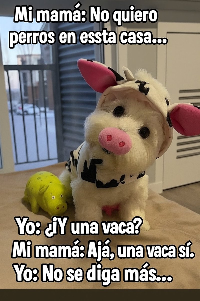 Hum0rROJO's tweet image. 🤣🤣🤣🤣