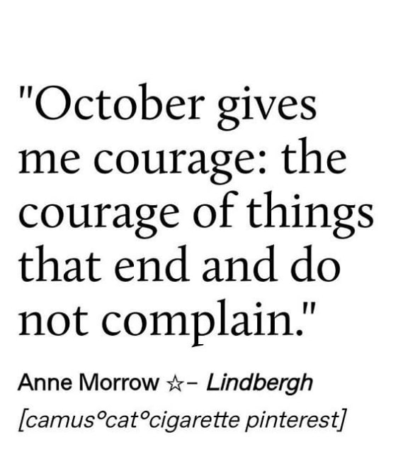 🇺🇸camila miranda🇺🇸 (@camilamiranda70) on Twitter photo 