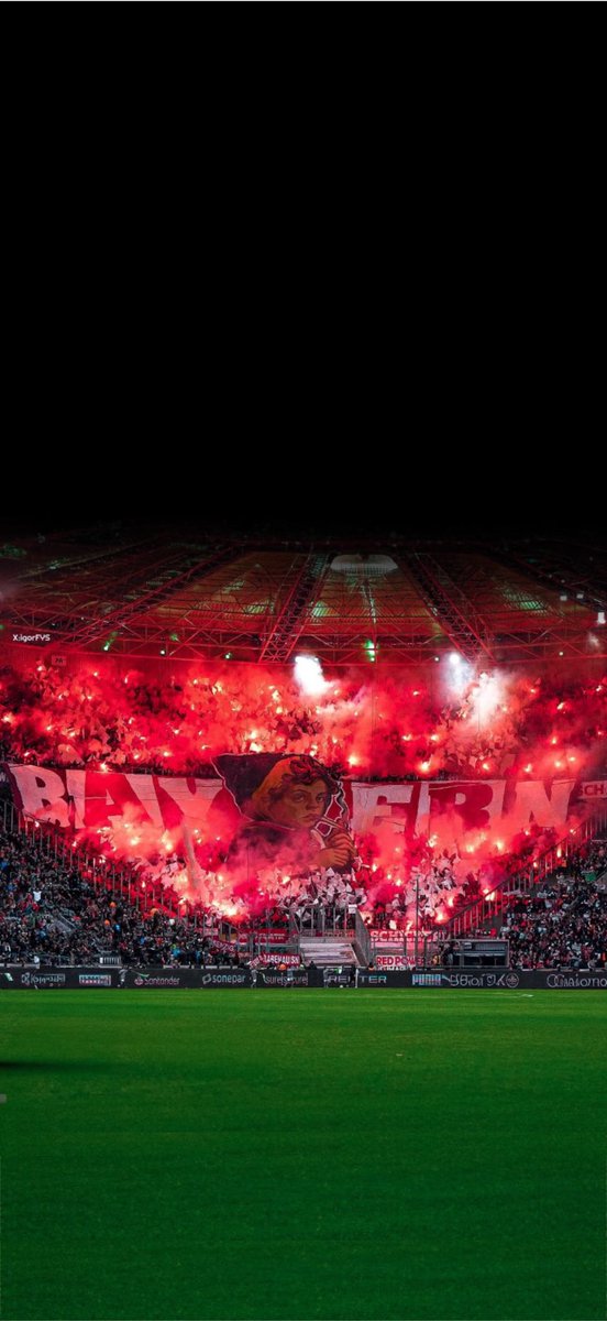 𝗦𝗽𝗶𝗲𝗹𝗲𝗿𝘁𝗿𝗮𝗶𝗻𝗲𝗿 tweet media