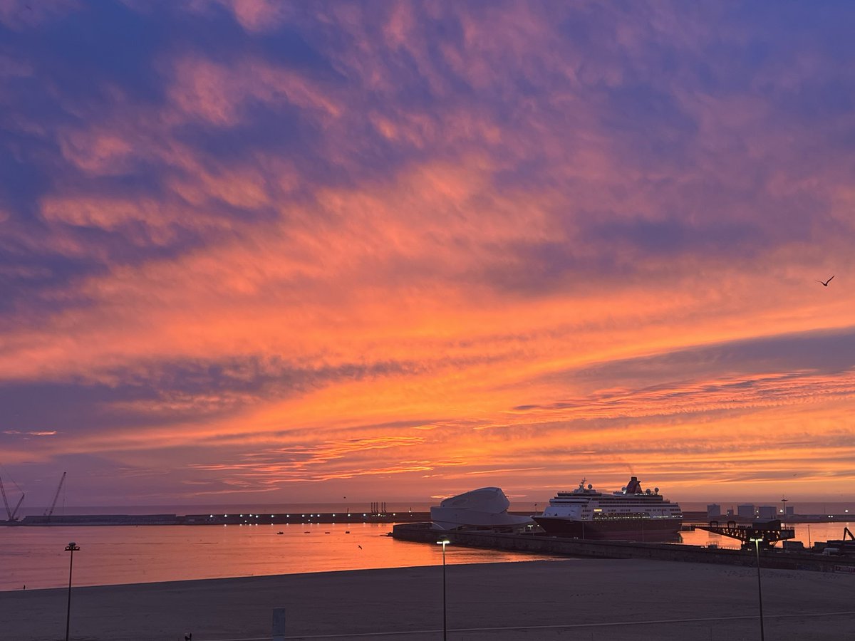 Francisco Almada Lobo (@almadalobo) on Twitter photo 