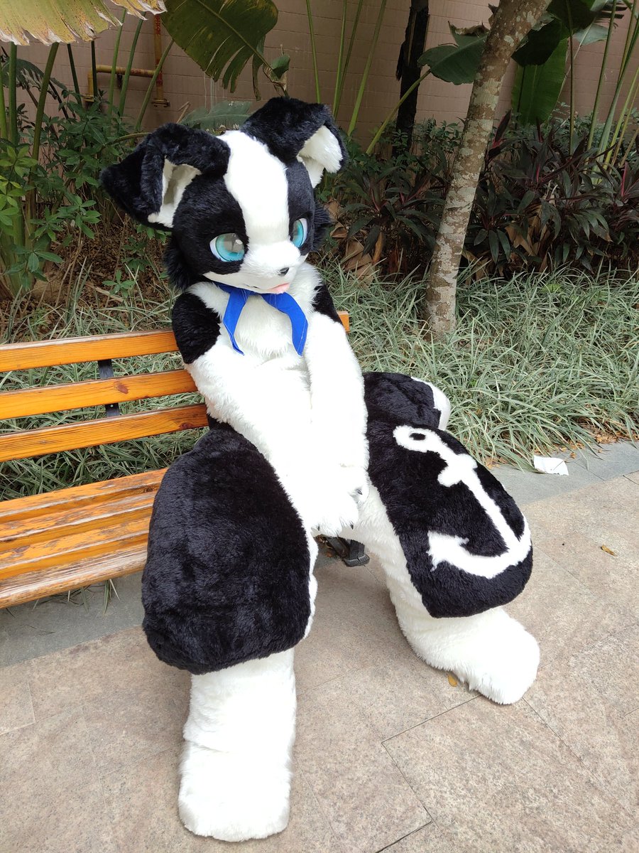 白洛→暁宝 tweet media