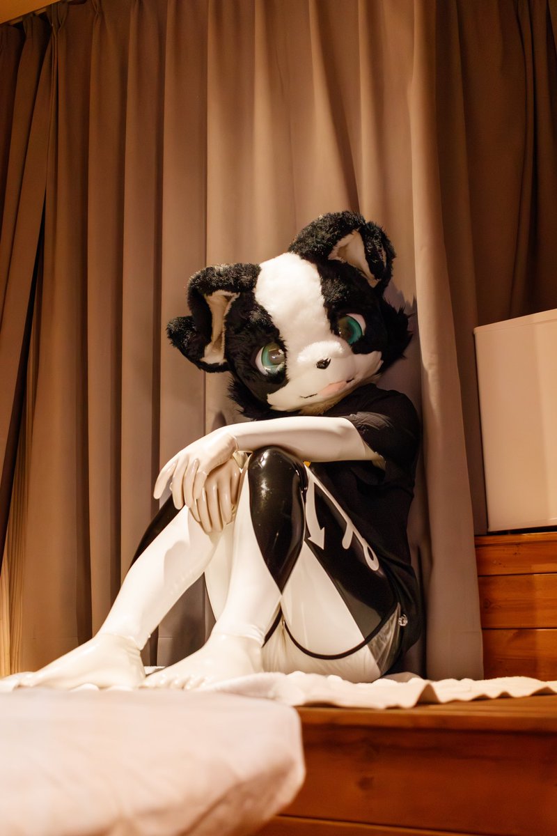 白洛→暁宝 tweet media