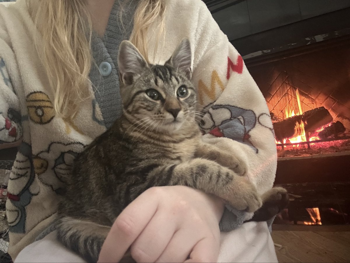 spittingclots's tweet image. in my pajamas keeping warm with tiny cat