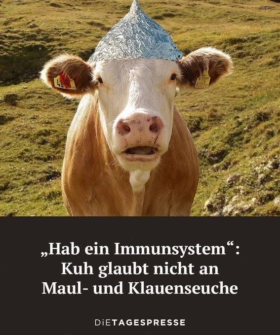 Da kann nix passieren… 😇