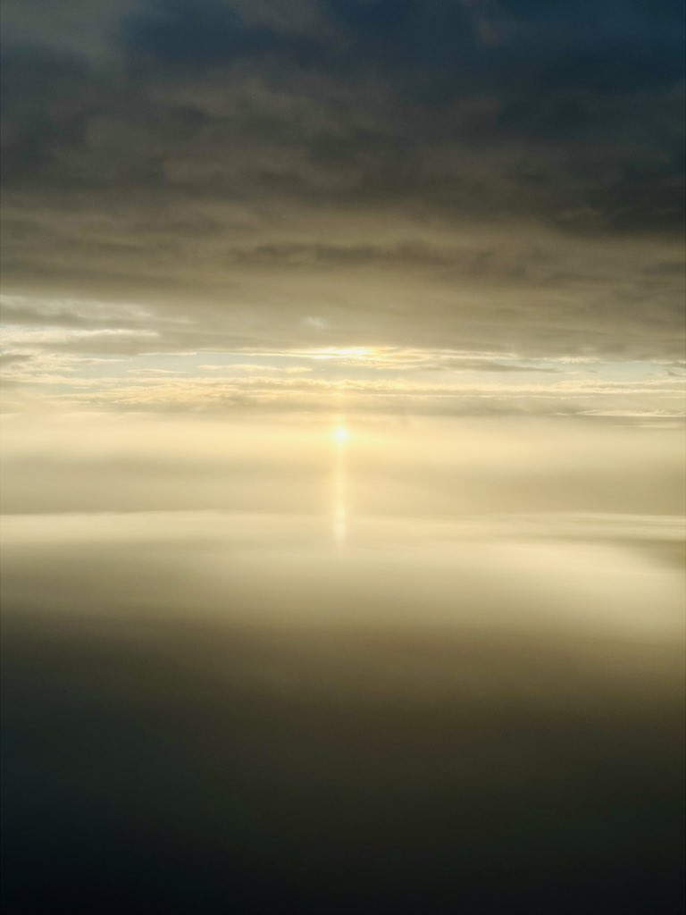 IrishPixel tweet media